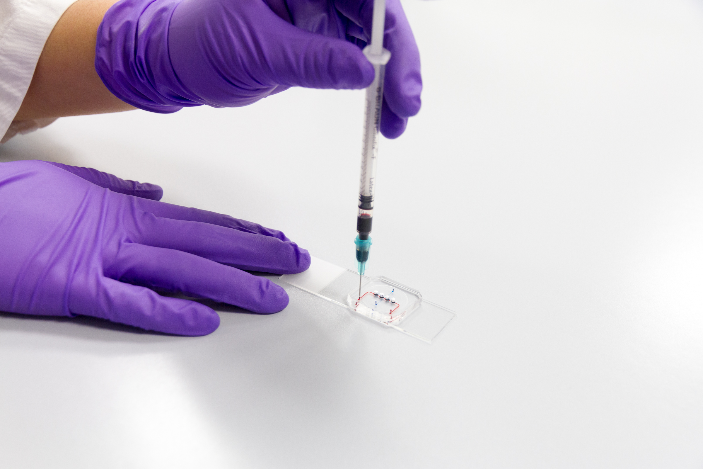 Retina-on-a-Chip: Aussagekräftiges Modell zur Untersuchung von Augenerkrankungen und Medikament-Nebenwirkungen