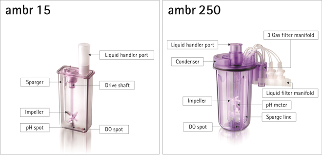 Single-use Mini Scale Bioreactor Technology / How it Enables Higher Productivity of Protein-based Therapeutics in the Pharmaceutical Industry