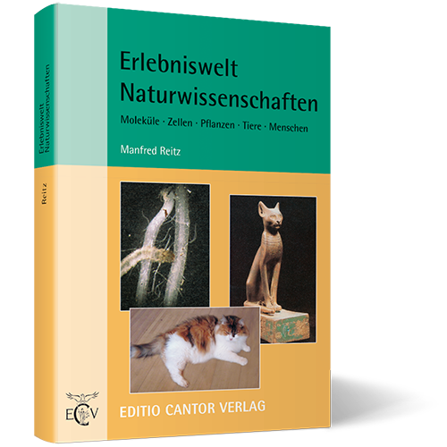 Erlebniswelt Naturwissenschaften