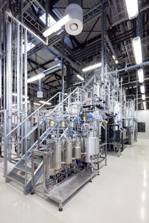 Forscher lassen Bakterien hochwertige Pflanzenprodukte herstellen