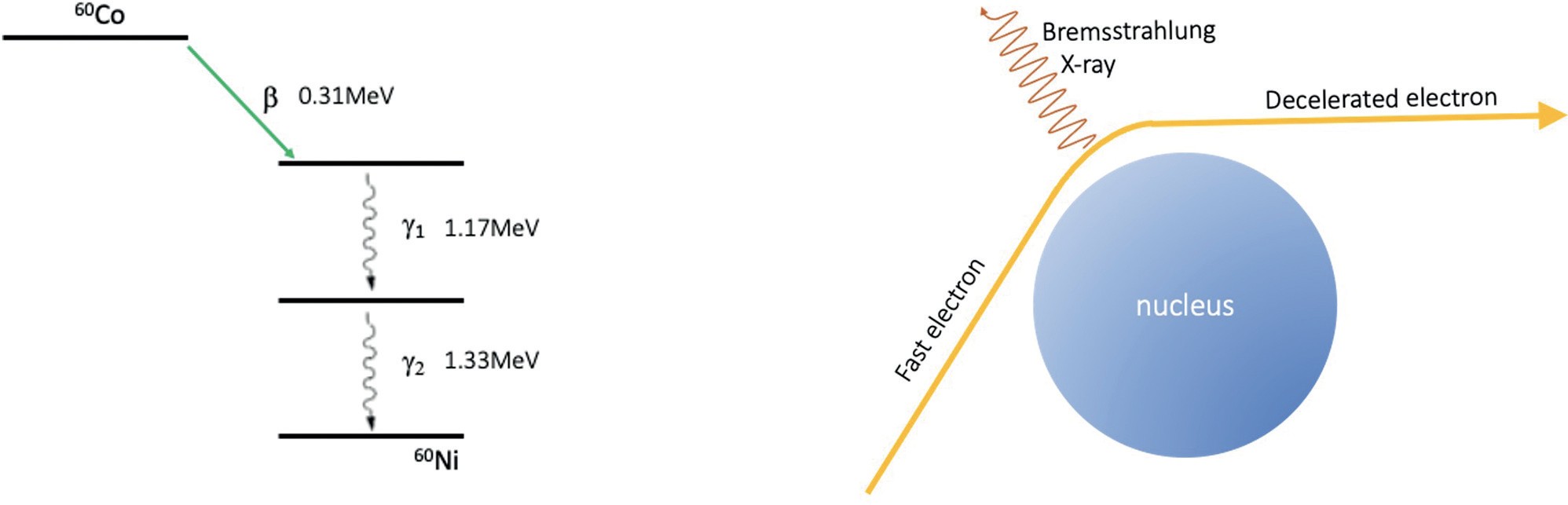 Radiation sterilised personal protective equipment | Beitrag aus cleanroom & processes 5 | Nr. 1 | 36-43 (2026)