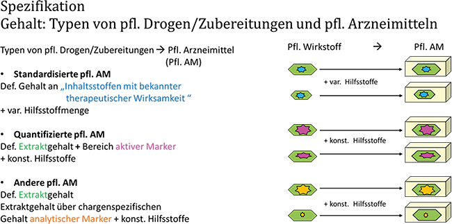 Pflanzliche Arzneimittel – Analytik und Qualitätssicherung – Teil 2 | Beitrag aus pharmind 88 | Nr. 5 | Seite 370-375 (2026)