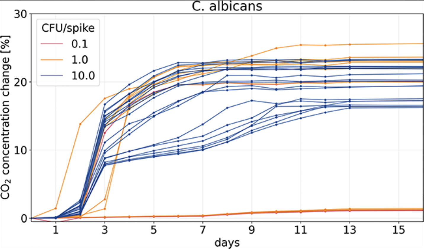 Automated Media Fill Inspection | Beitrag aus Tech4Pharma 15 | Nr. 3 | Seite 172-179 (2025)