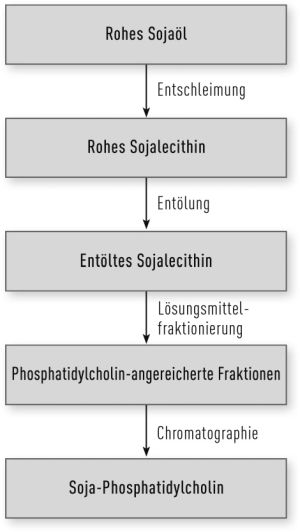 Verwendung natürlicher Phospholipide als pharmazeutische Hilfsstoffe / Beitrag aus Pharm. Ind. 82, Nr. 5, 641-652 (2020)