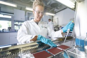 Analysesystem ermöglicht gezielte Untersuchung von antiviralen Oberflächen für Materialentwickler