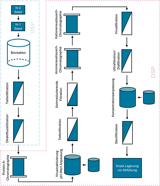 Single vs. Multi Use in Biopharma | Beitrag aus pharmind 88 | Nr. 2 | Seite 92-98 (2026)