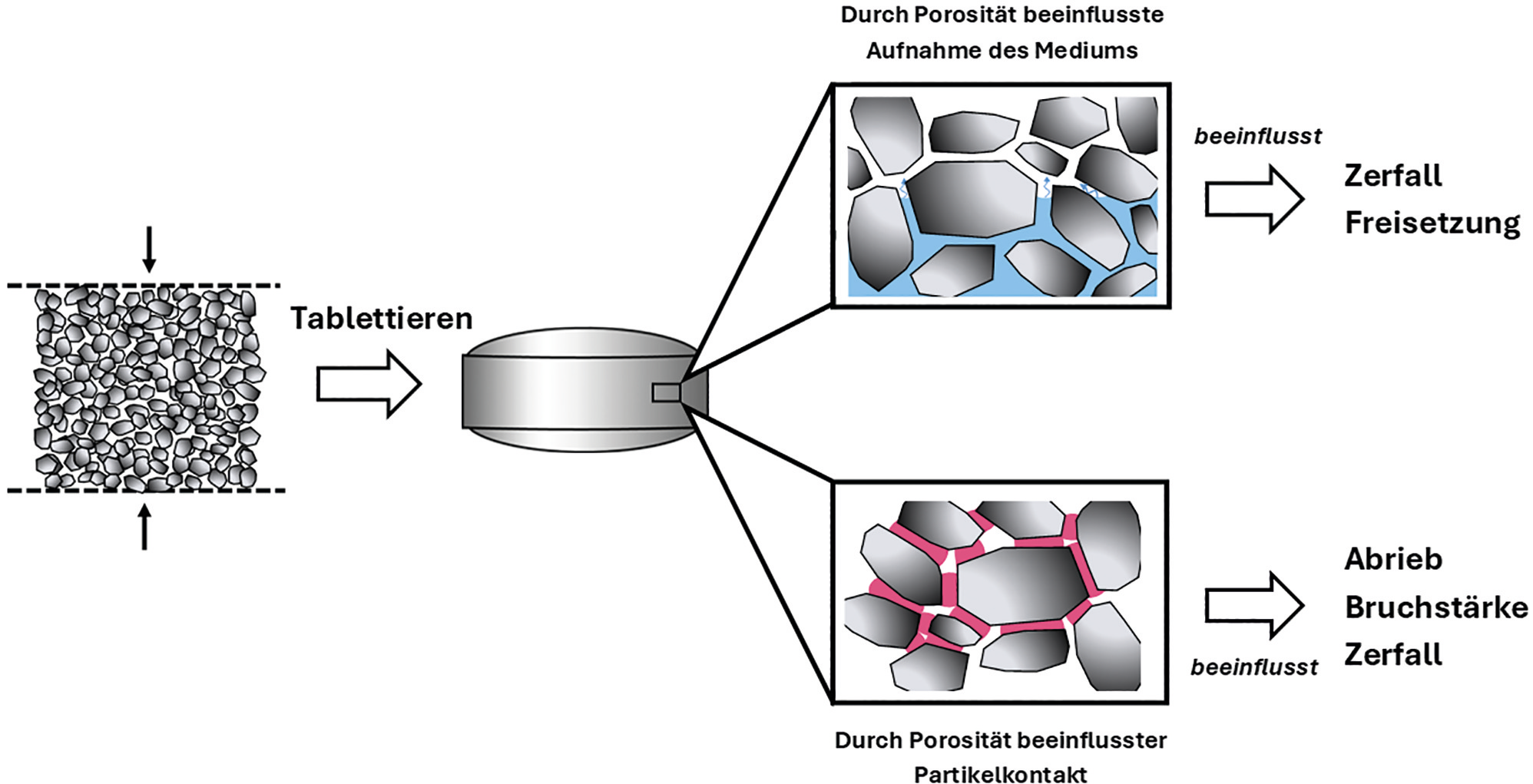 Terahertz-Spektroskopie von Tabletten | Eine prozessanalytische Methode zur Porositätsbestimmung – Teil 1