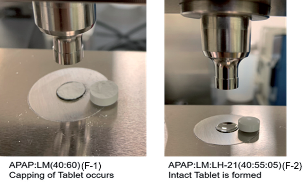 Multifunctional excipients | Integration in the development of solid oral dosage forms