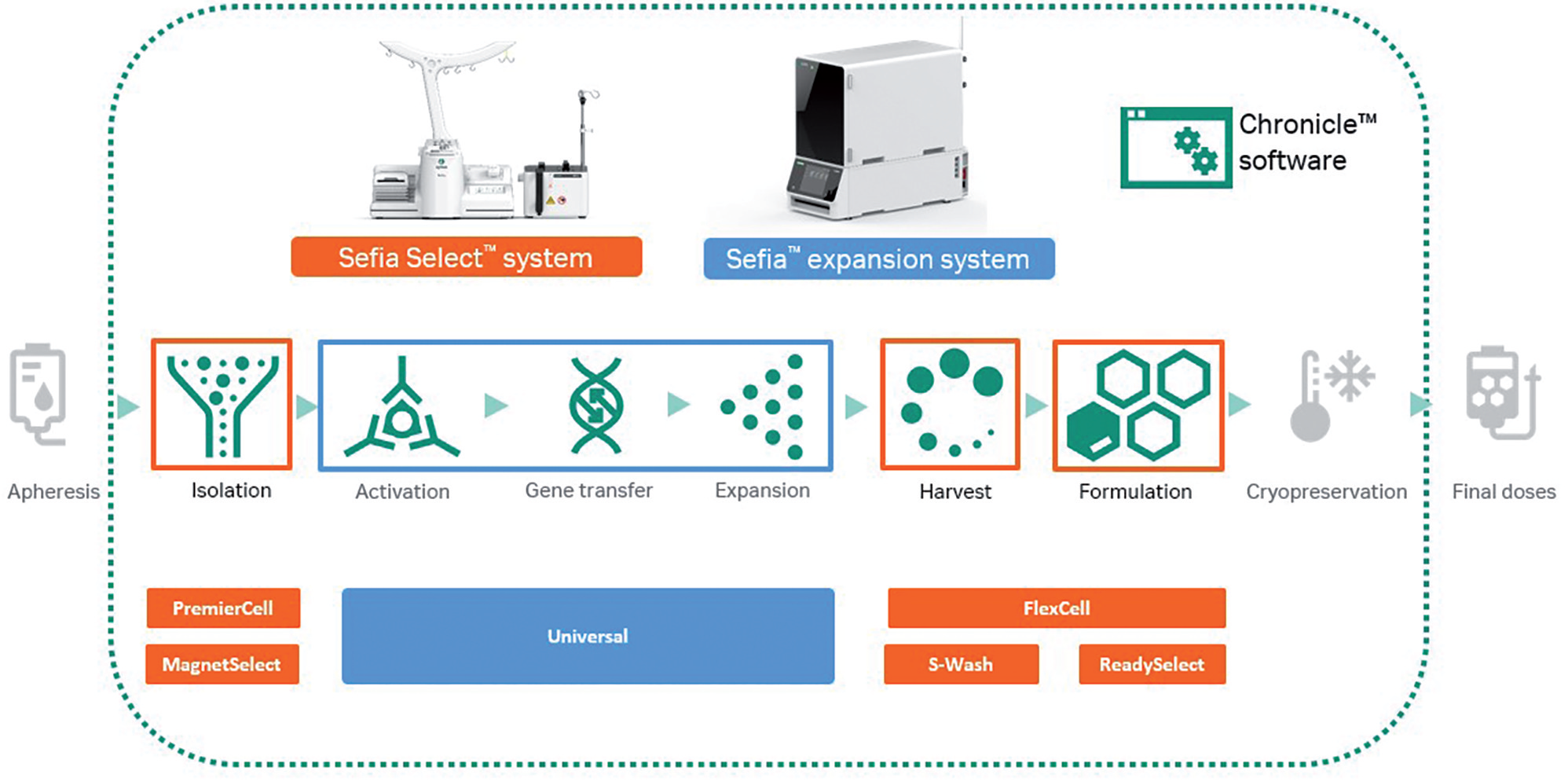 Autologous CAR T cell therapies | The path ahead