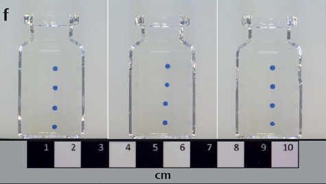 Silicone Oil Induced Effects in Pharmaceutical Glass Vials